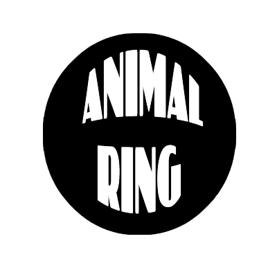 Antinet.com